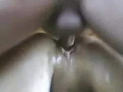 Delgado marrón Pro v ...