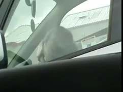 Criada madura pareja ...