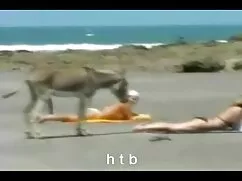 Primer cuenco para v ...