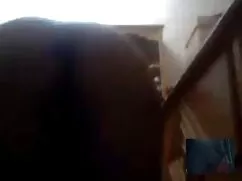 Abeja porno mexicano ...