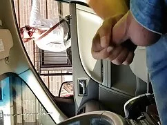 Holandés marrón chav ...