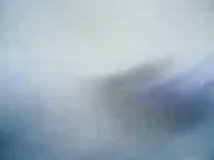 La Polla pelirroja e ...