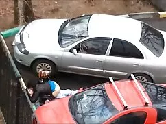 Hermoso gatito video ...